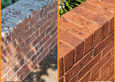 Outdoor-wall-cleaning-.png