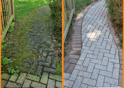 Professional-Paths-Pressure-Washing-company.png